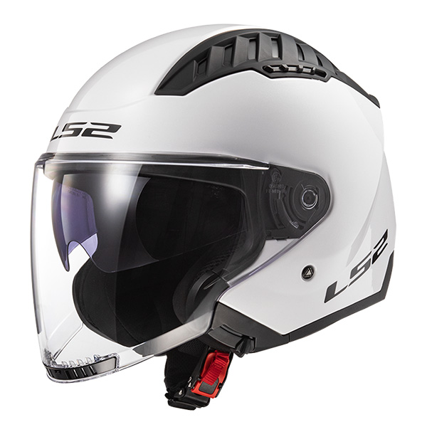 Daisy on the Ohoopee